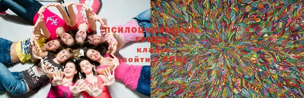 мдпв Ижевск