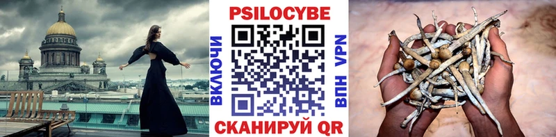 Купить  Починок  Псилоцибиновые грибы мухоморы 